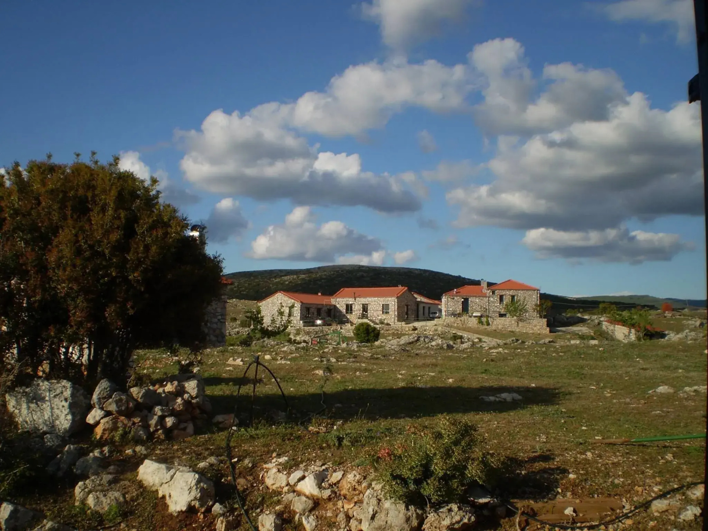 Arachovitika Kalivia