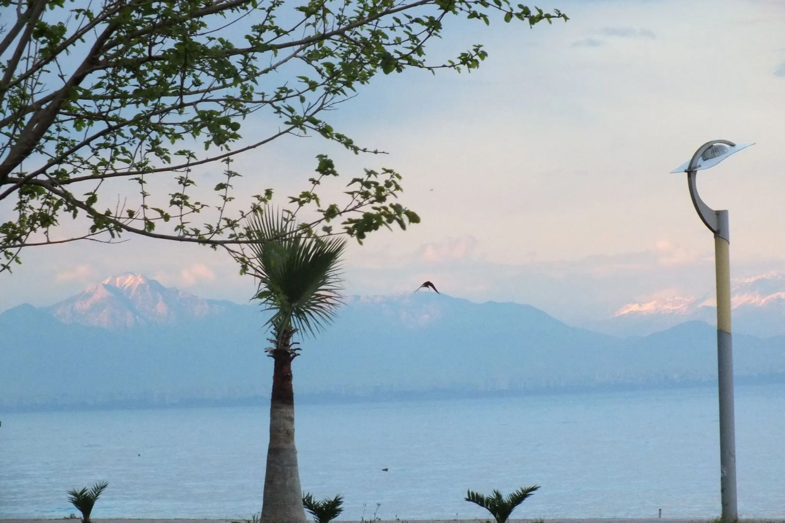 Aypars Beldibi Hotels