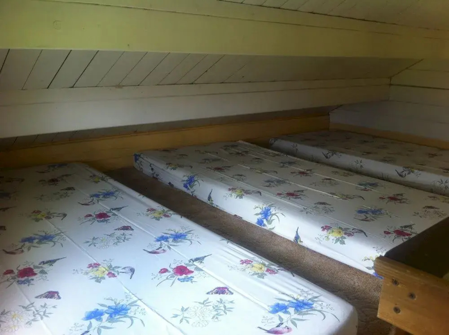 Blockhütten Schnatermann