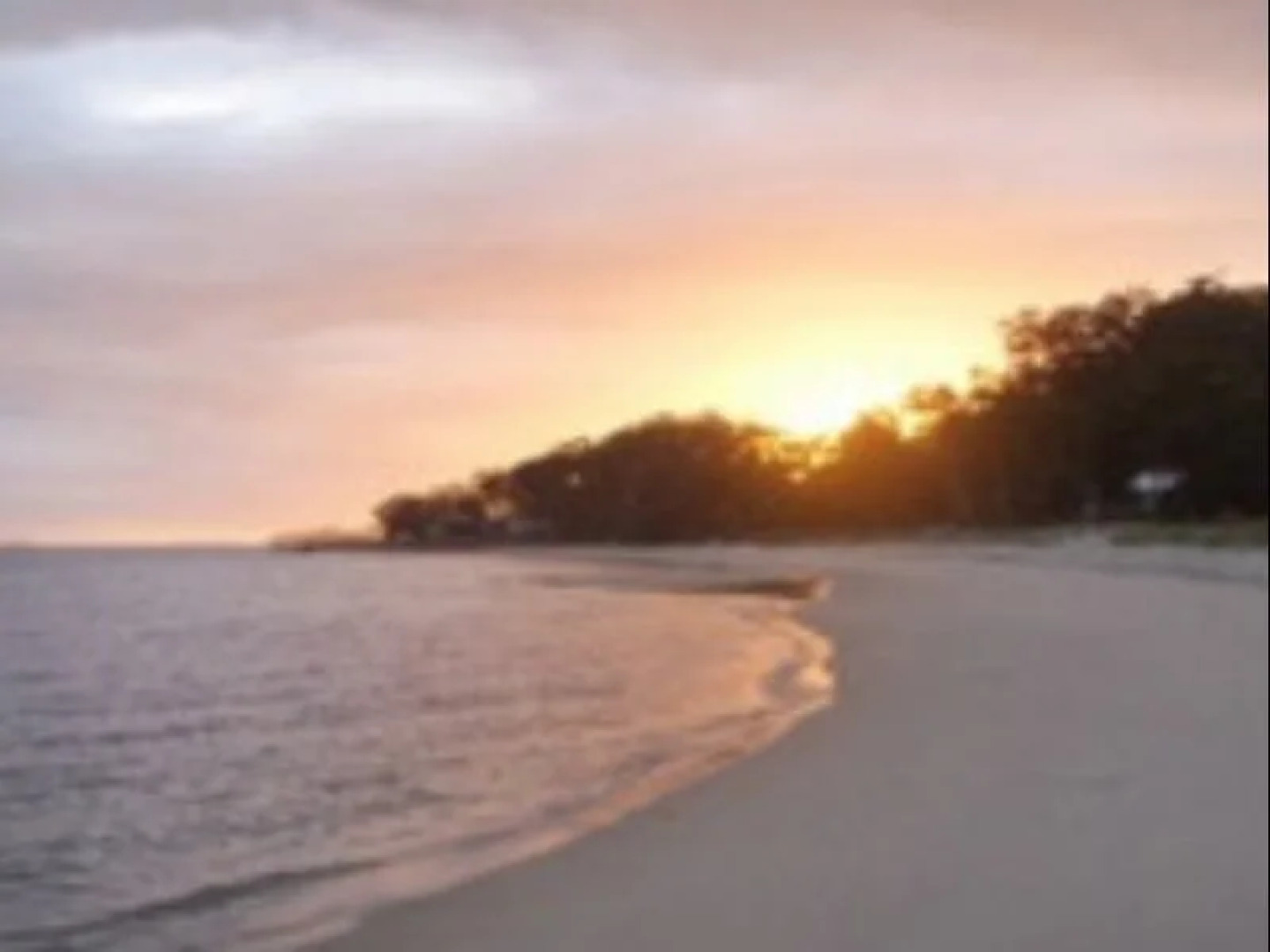 Corlette Palms Motor Inn