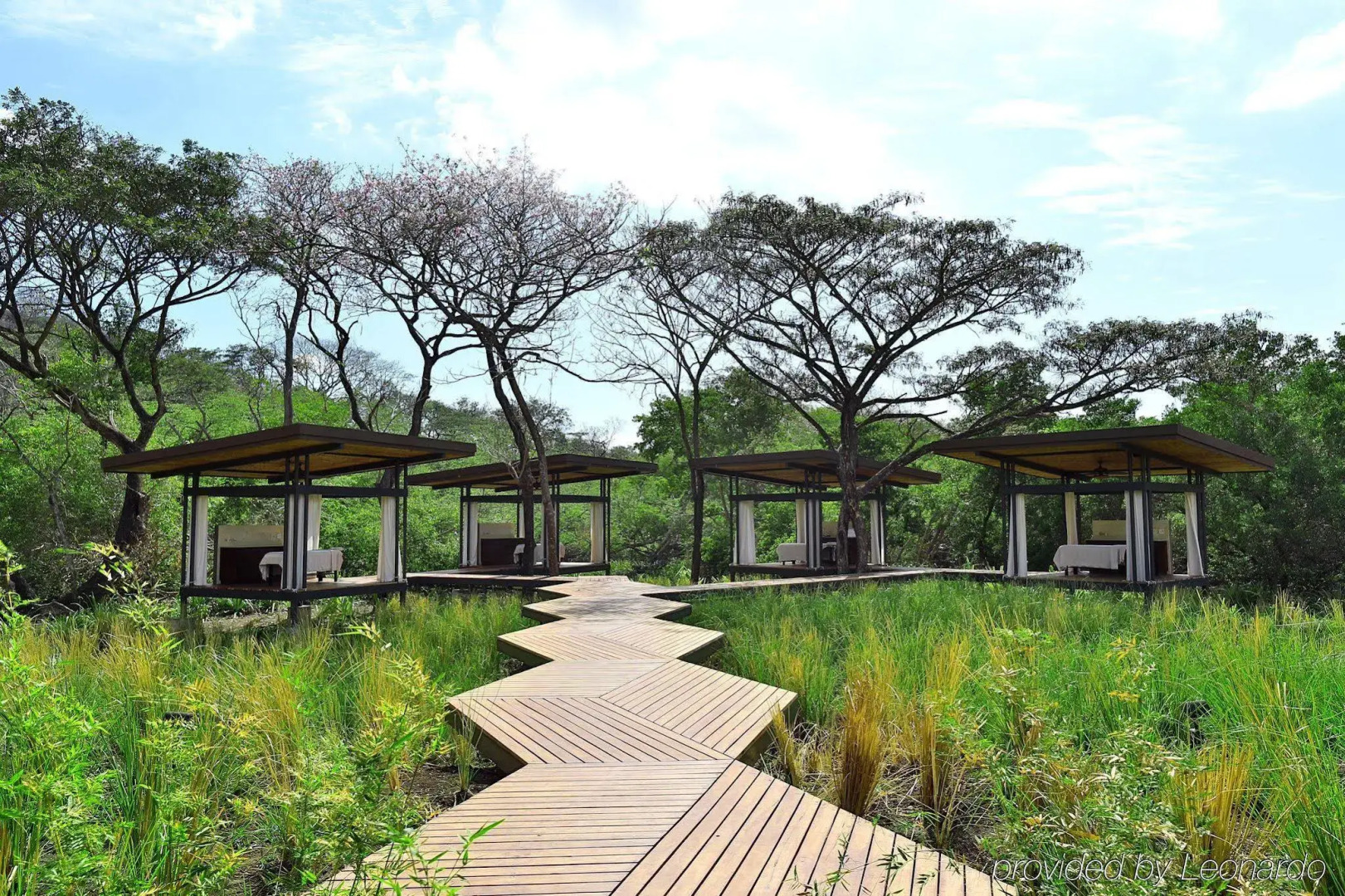 El Mangroove Papagayo, Autograph Collection