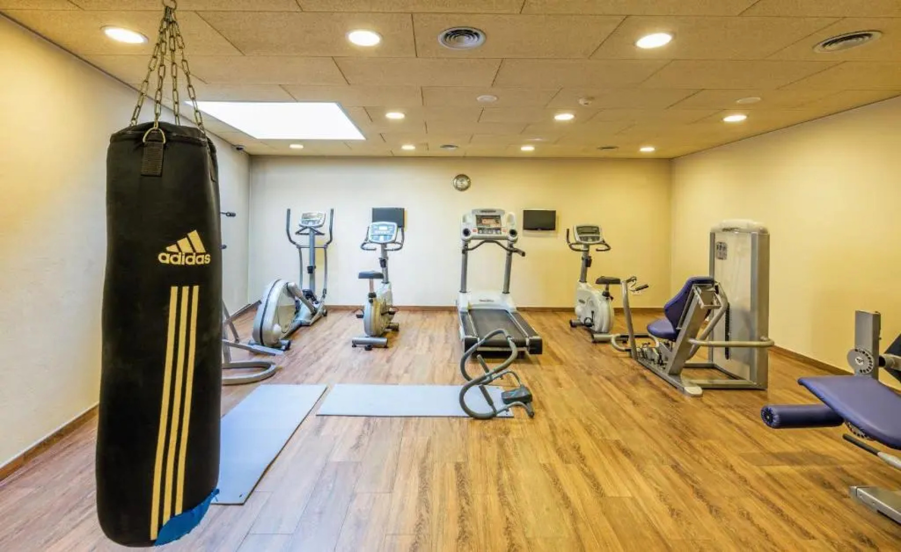 Apartaments Trainera