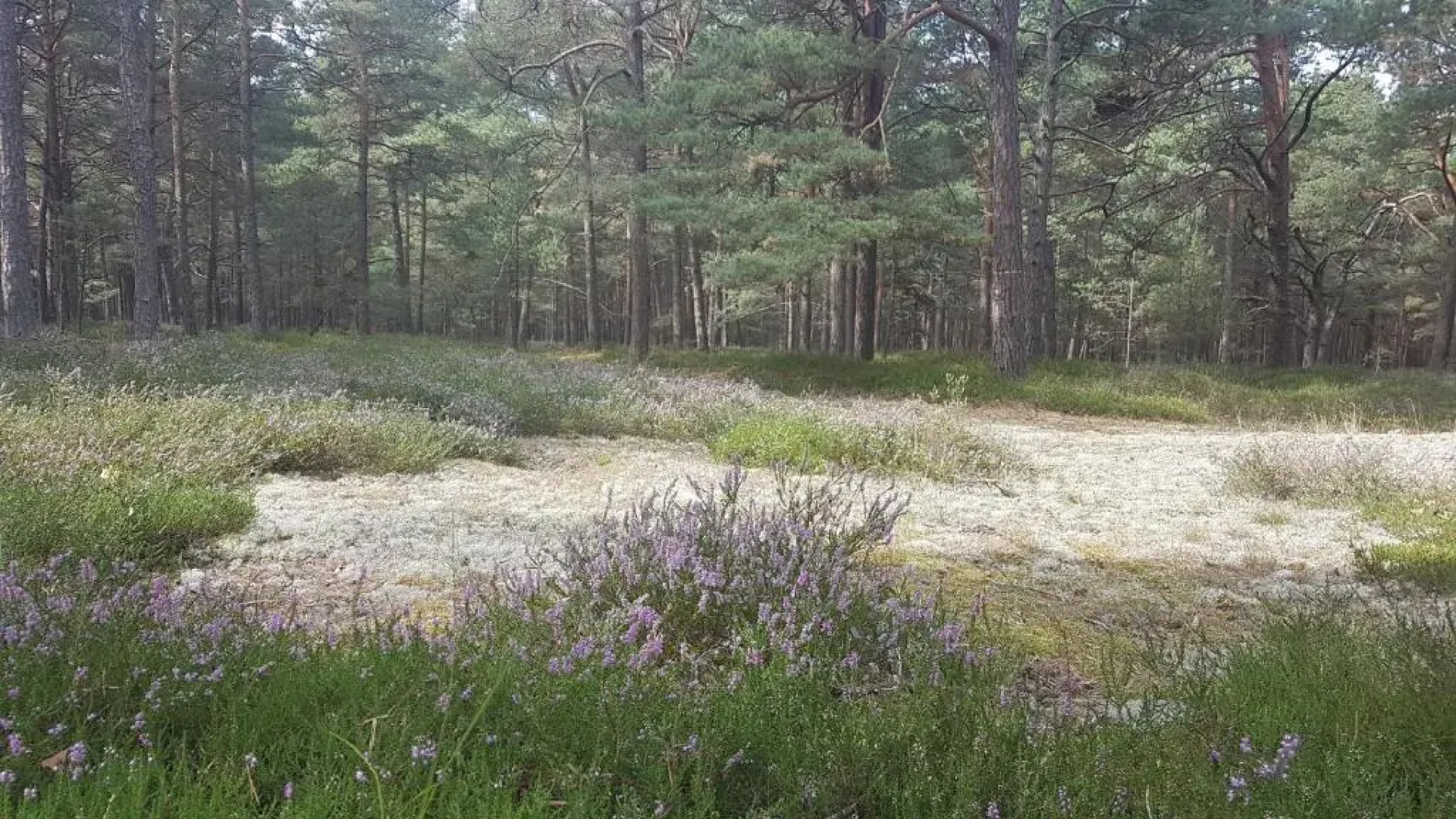 Blue Marine Apartament 19 z tarasem