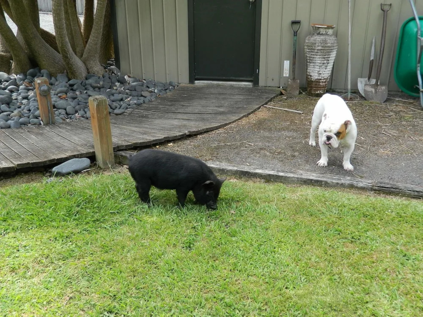 The Villa Bed And Breakfast