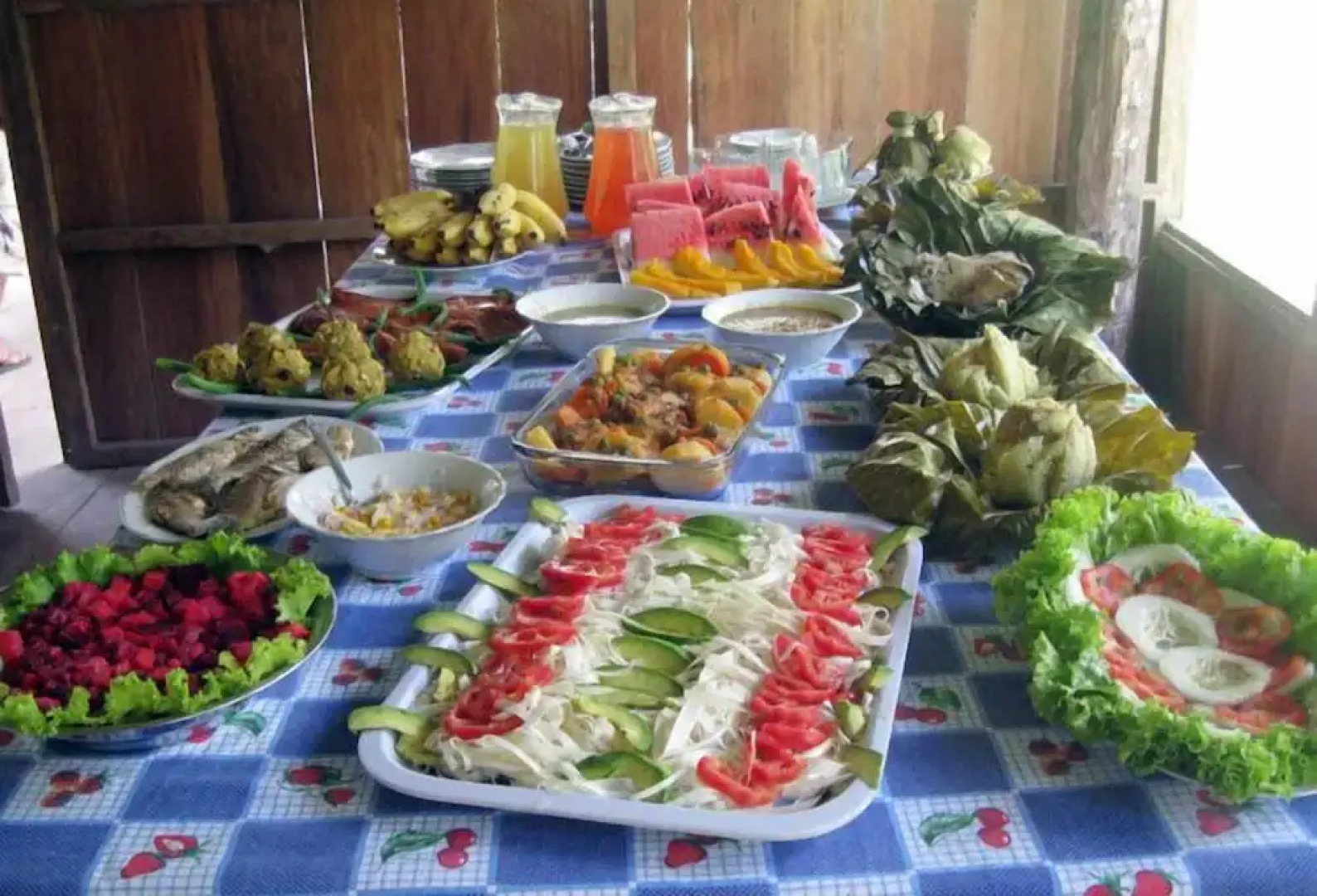 Jungle Wolf Expeditions