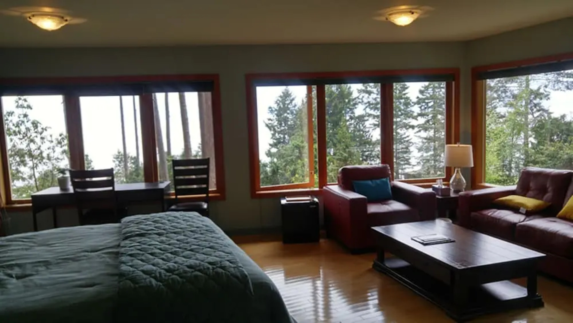 Sunshine Coast Treetop Wonderland