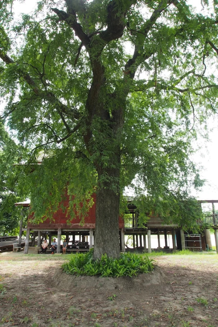 Baan Sikuuk Bed & Breakfast