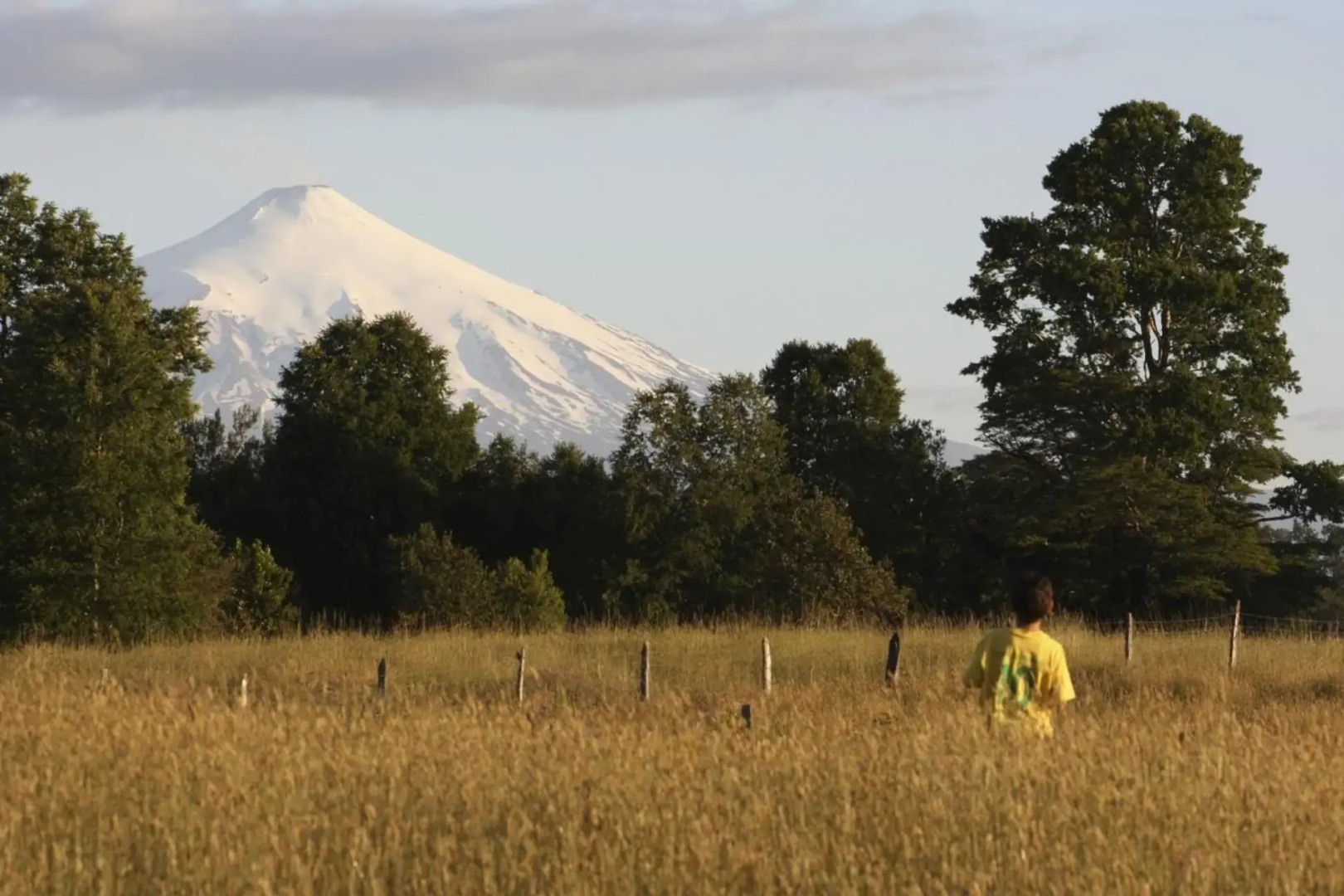 Cabaña Aroma de Campo