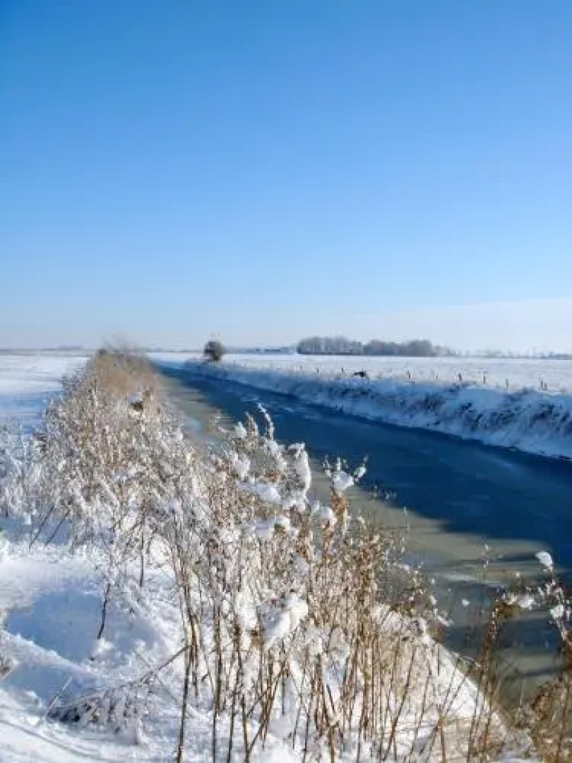 Nordsee Haus Ant Oll Deep