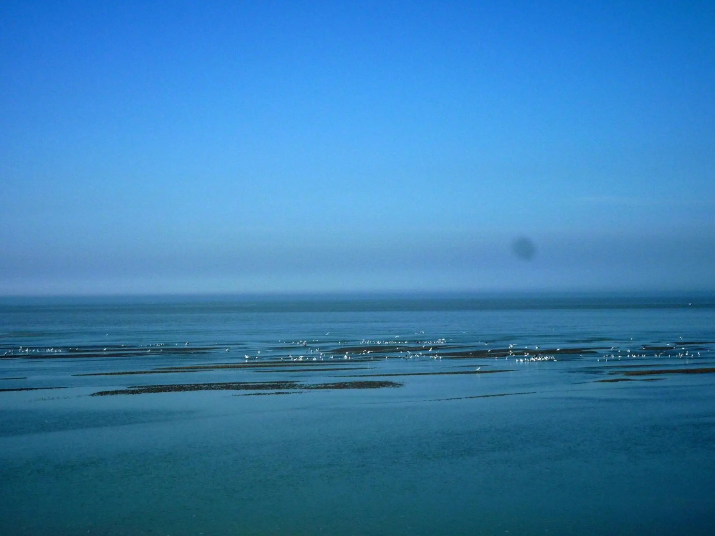 Holiday Home in Cayeux-sur-mer Near Bay of Somme