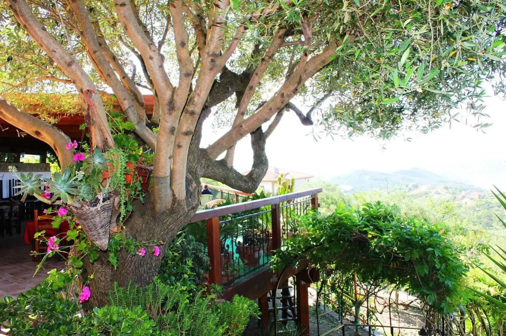 Il Poggio Del Cardinale