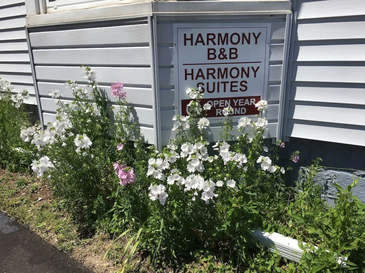 Harmony B&B & Suites