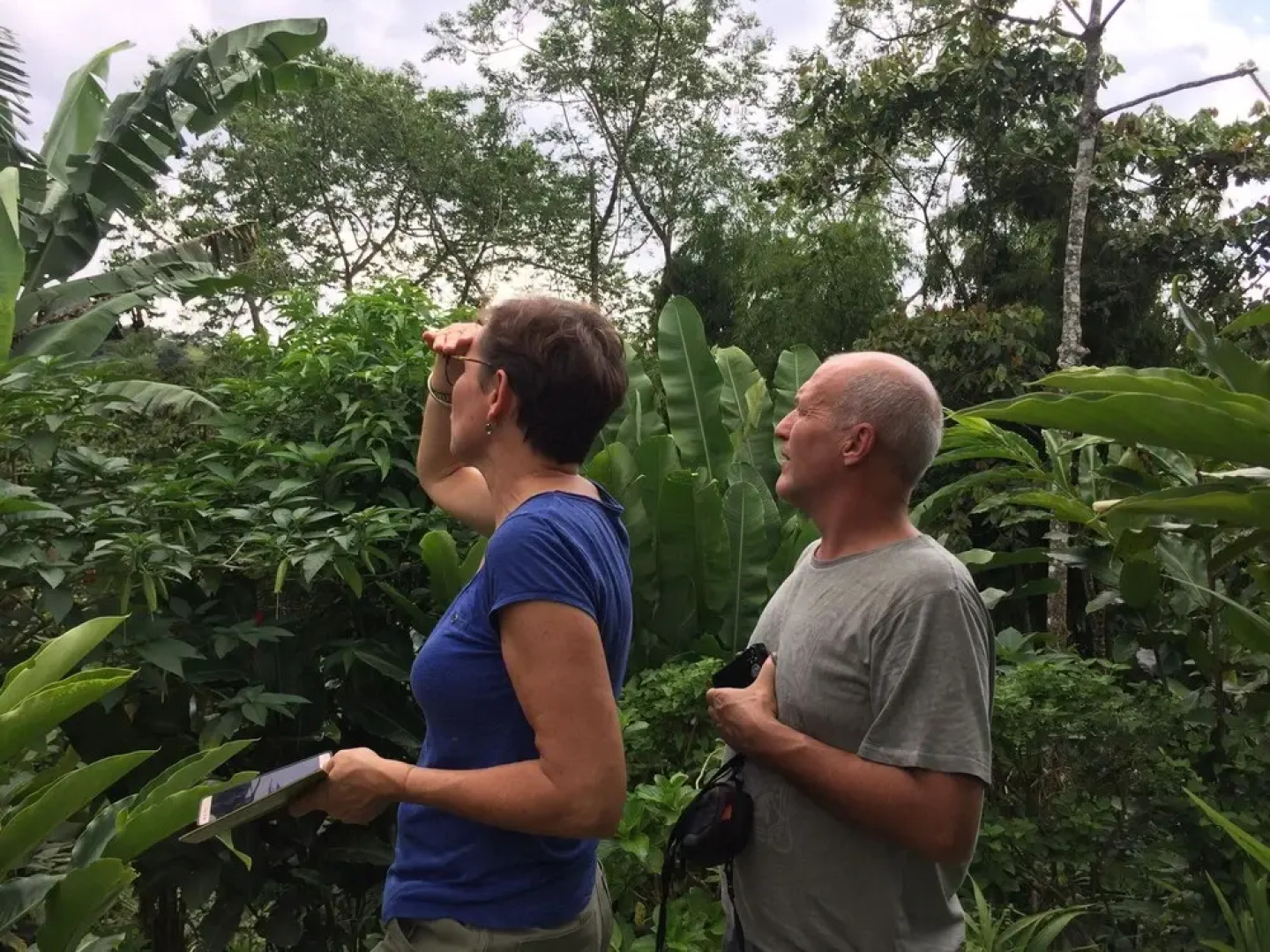 Essence Arenal Spa & Yoga