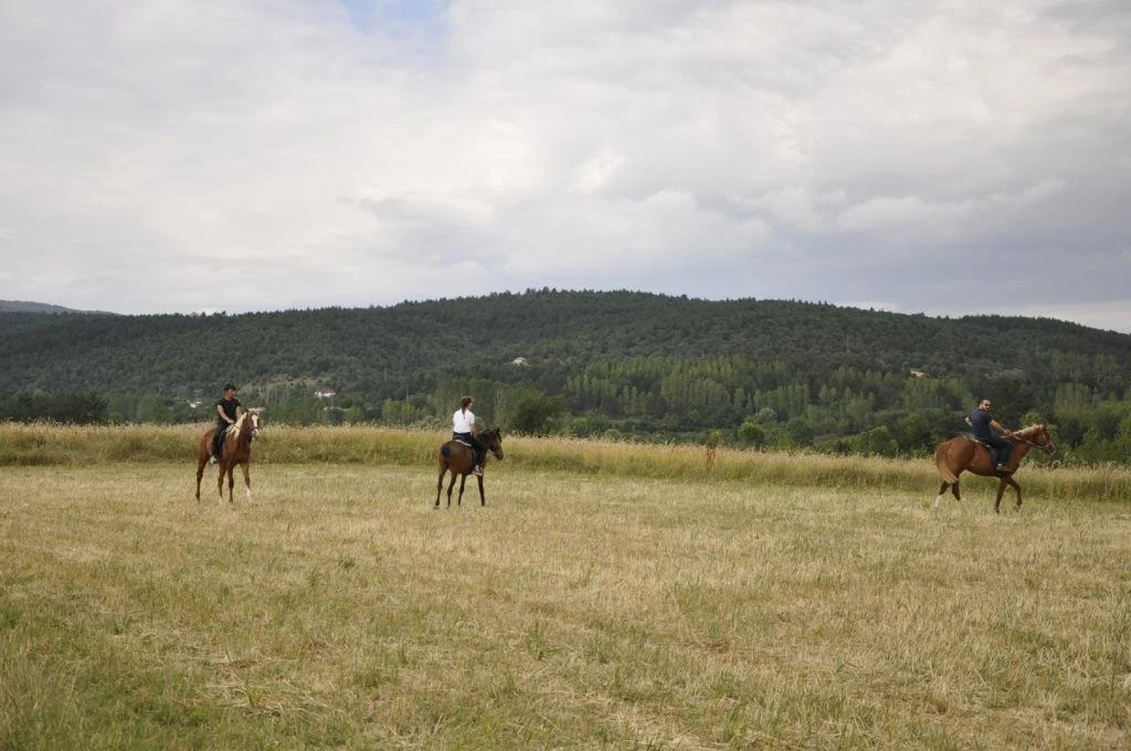 Emirbey Atli Turizm ve Dogal Yasam Koyu