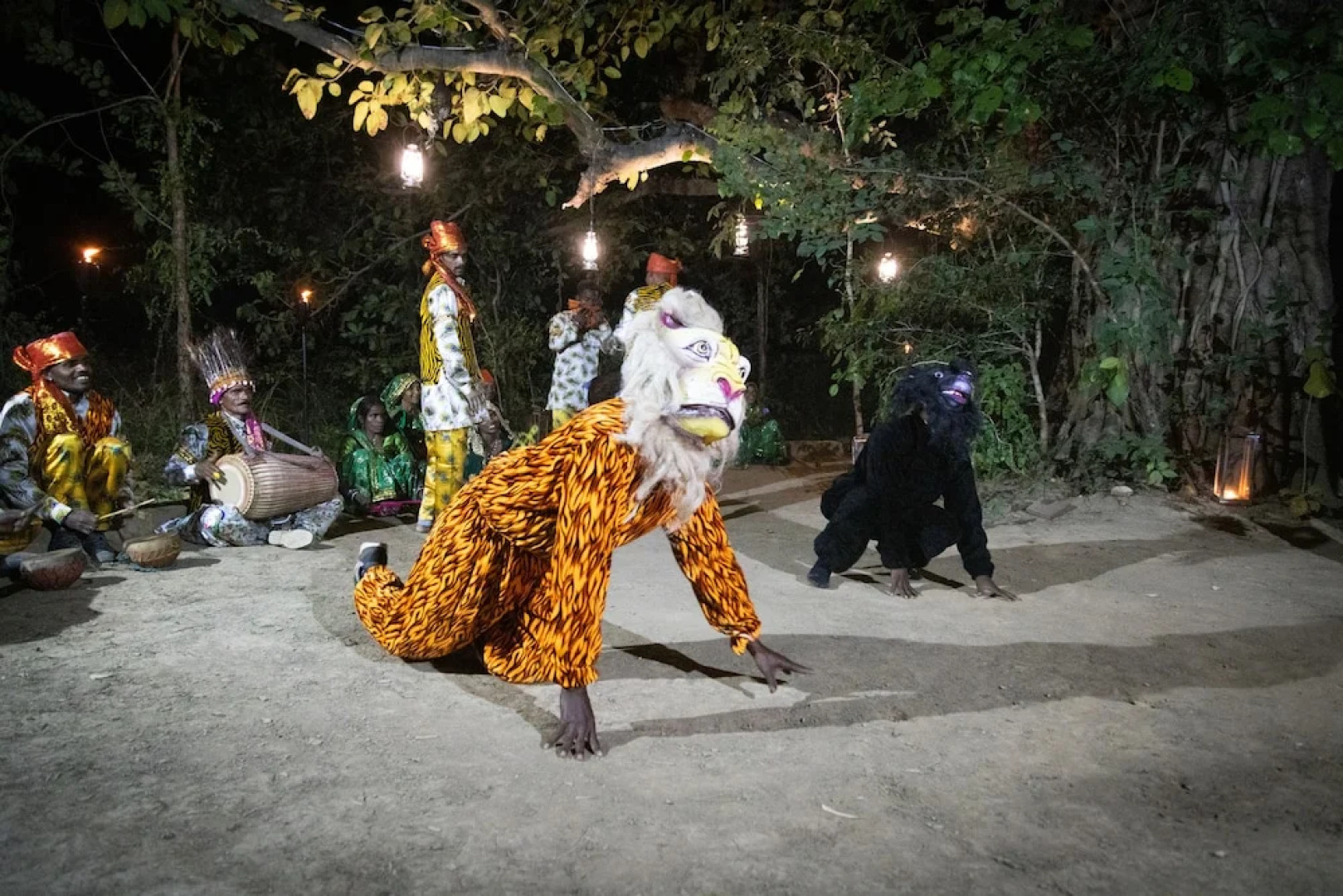 The Untamed Bandhavgarh by TUTC