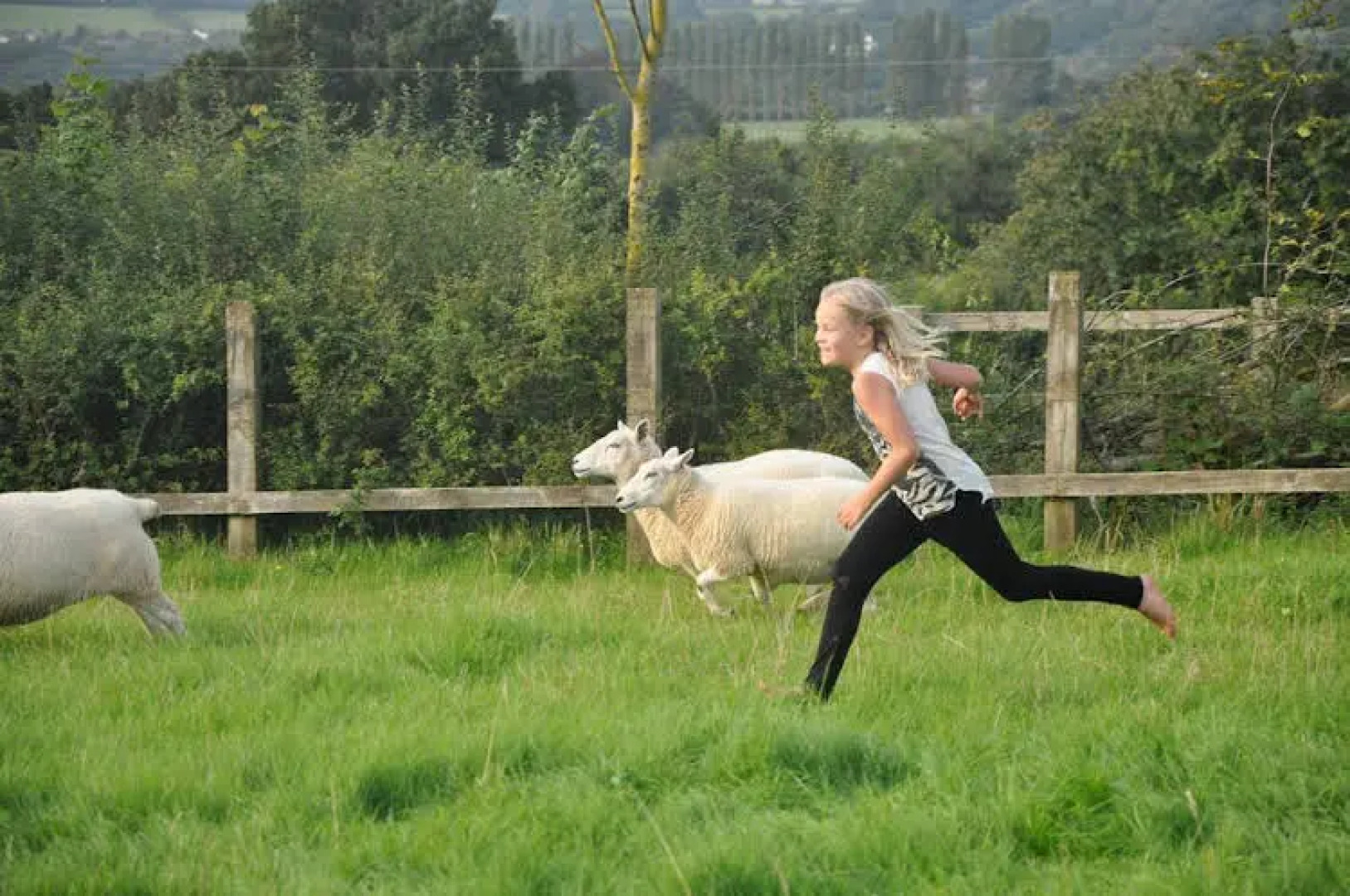 Brittons Farm Estate