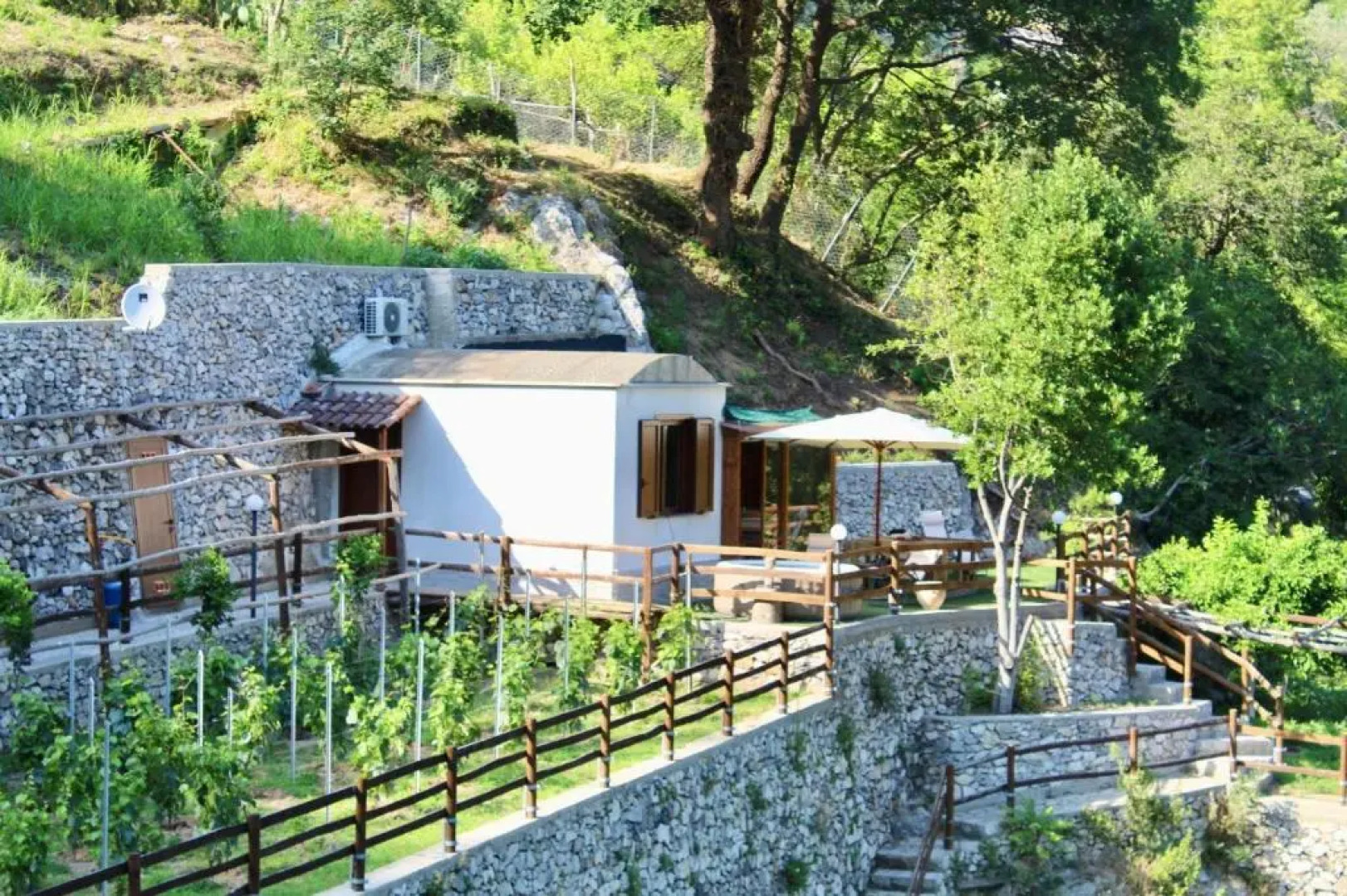 Tenuta Bosco