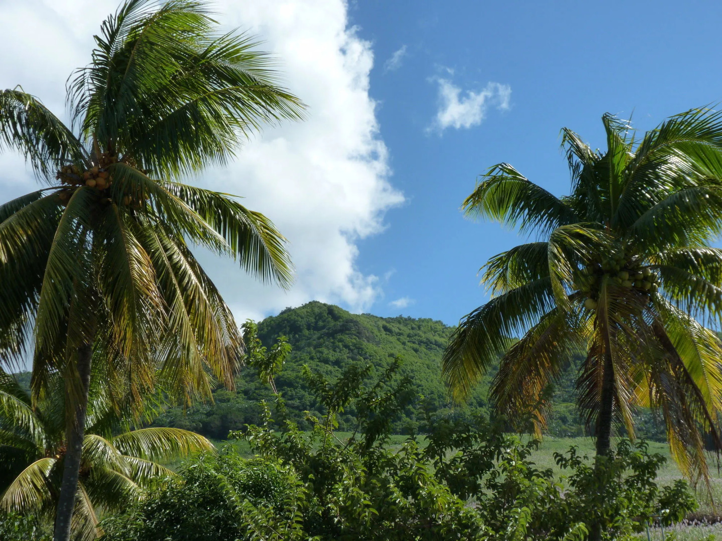 Titli Gite & Table d'hotes