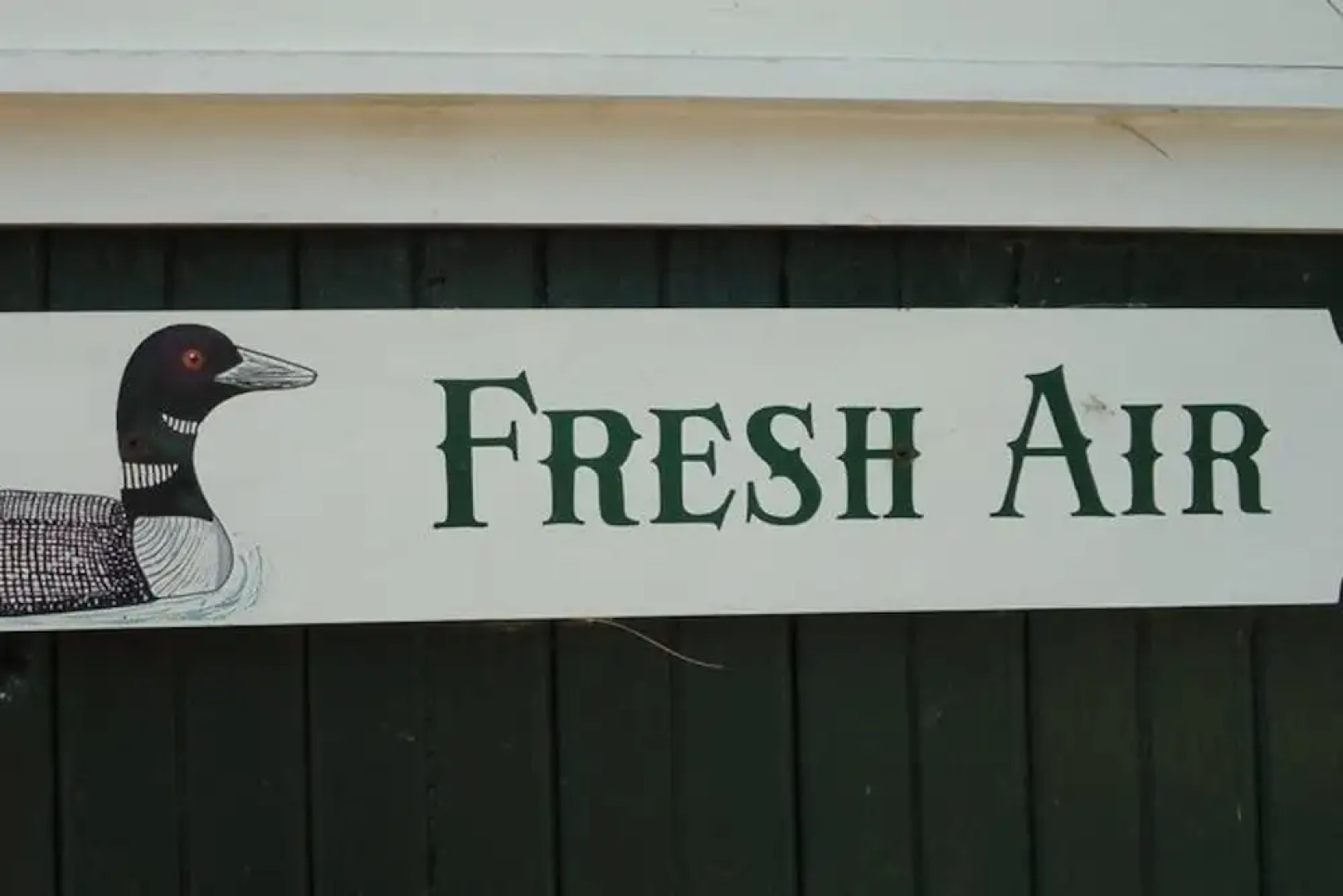 The Lodge at Gilmore Camps on Kezar Lake