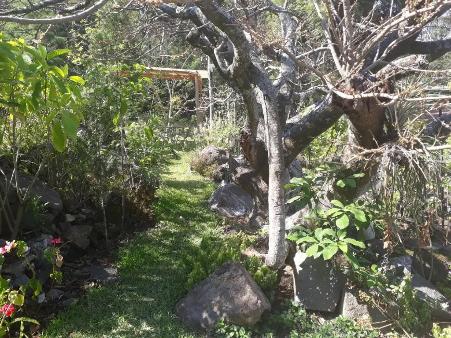 Hotel y Bungalows ecologicos Marcelo