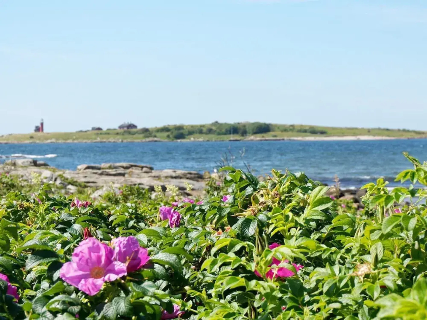 4 Star Holiday Home in Halmstad