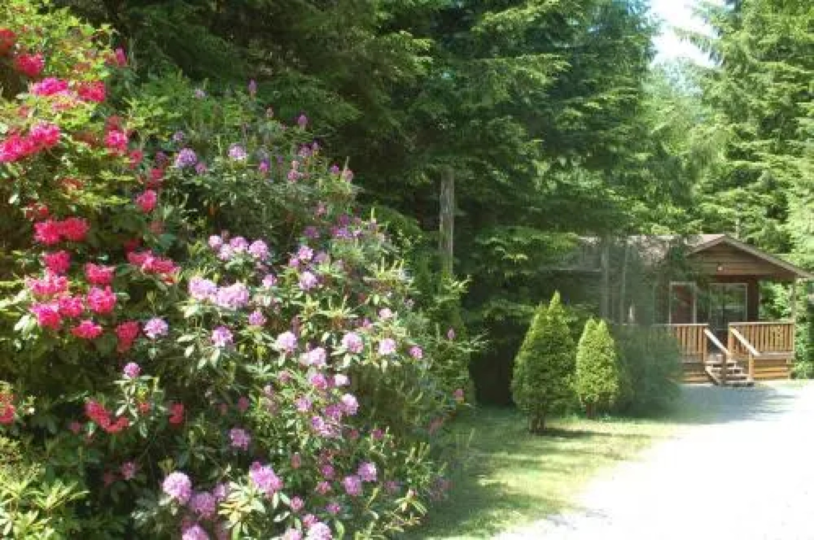 Outside Inn Cabins & Lofts