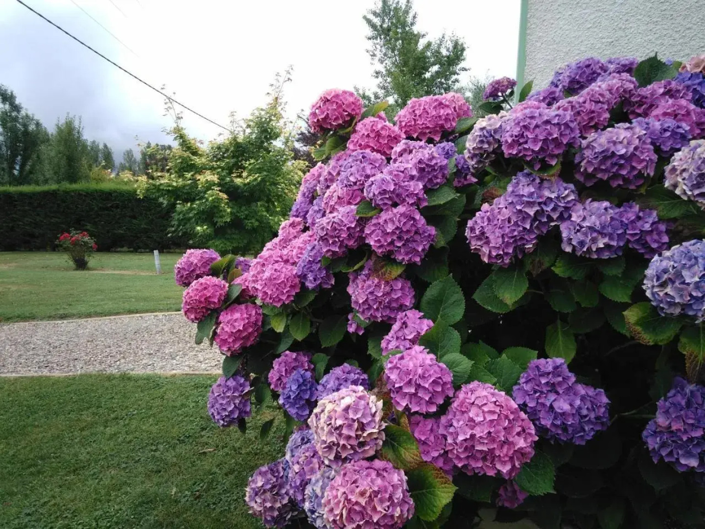 Maison à la campagne