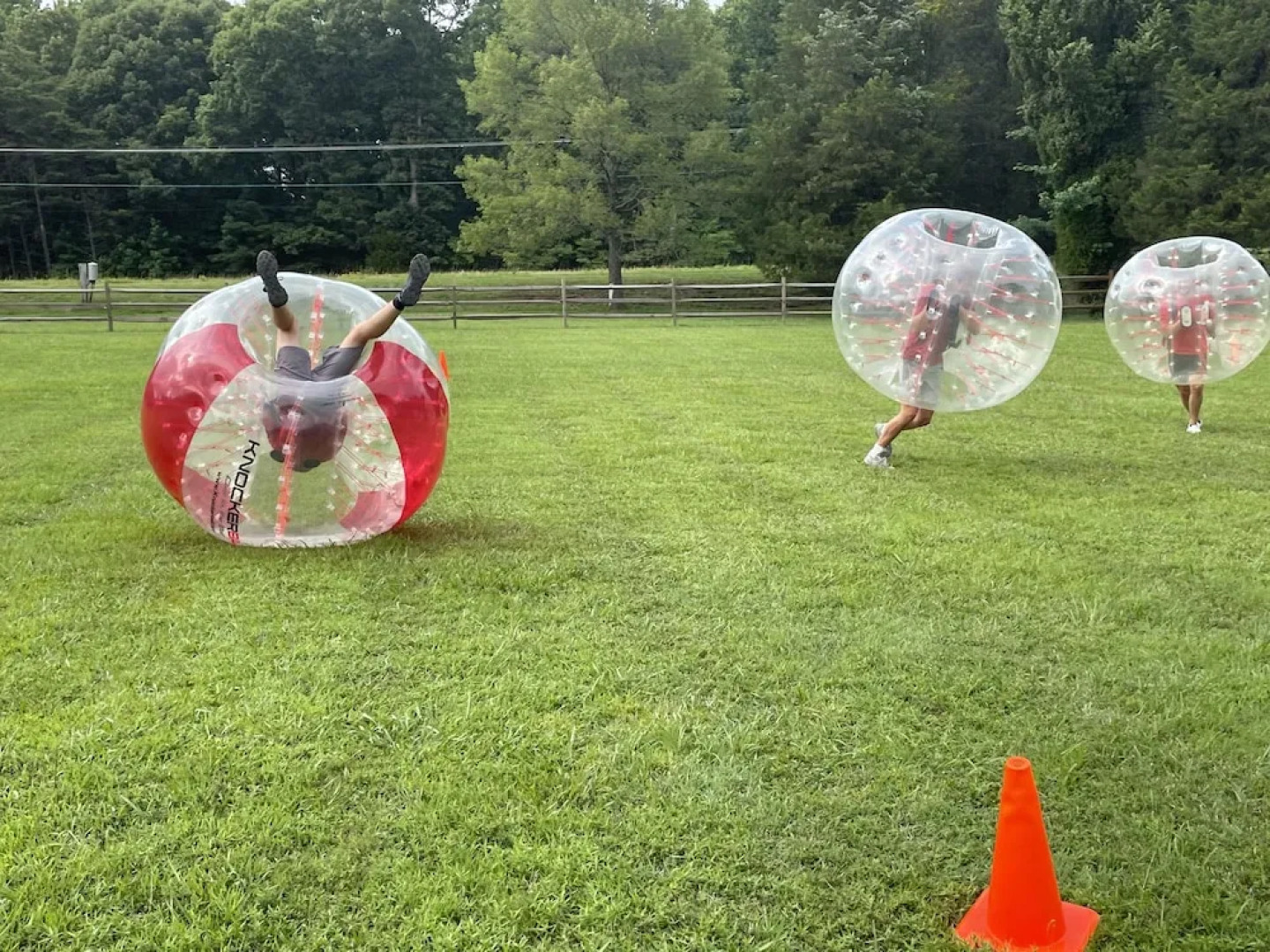 Wilderness Presidential By Tripforth