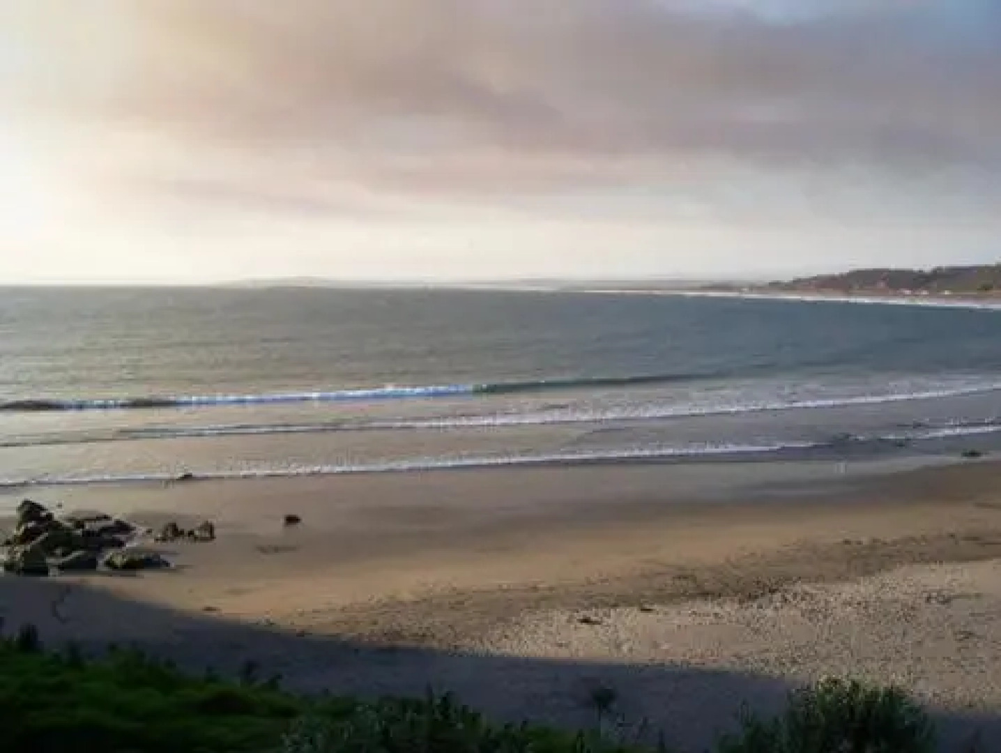 Pingüino En La Roca Cabañas