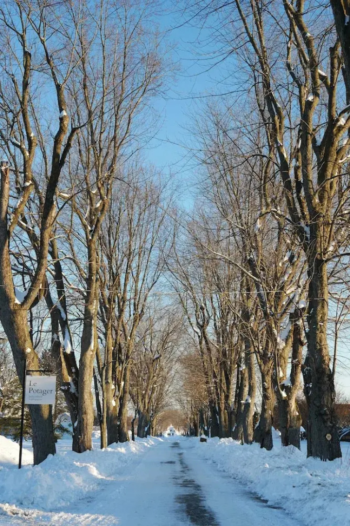 Auberge de Jeunesse des Balcons