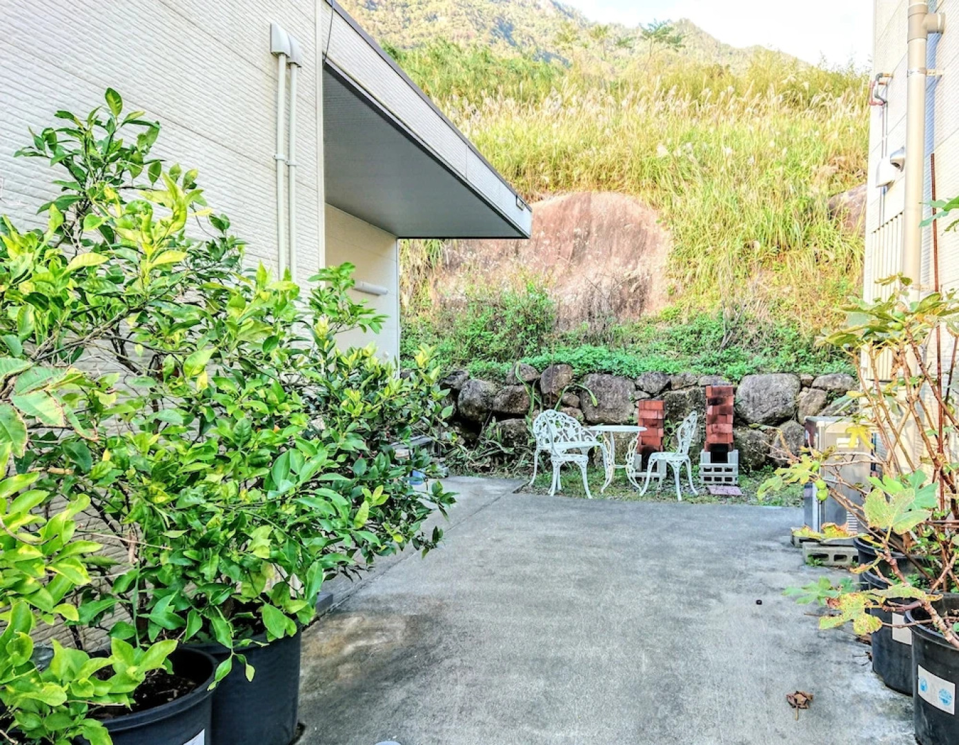 Yakushima Deaf Farm Guesthouse