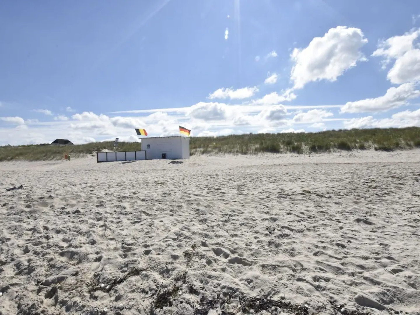 Modern Holiday Home in Ribnitz-damgarten Amidst Forest