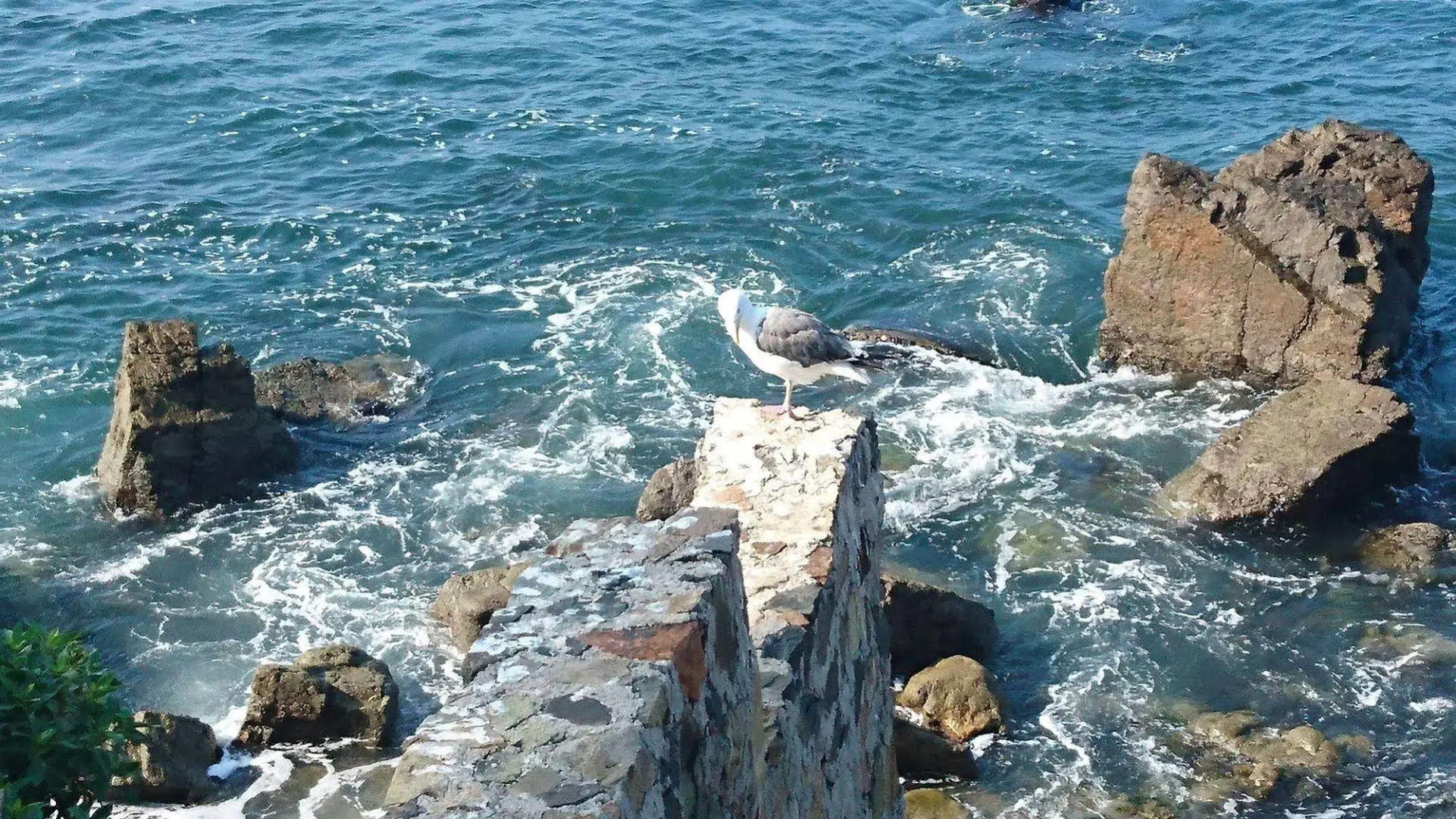 La Rosas Hotel & Spa