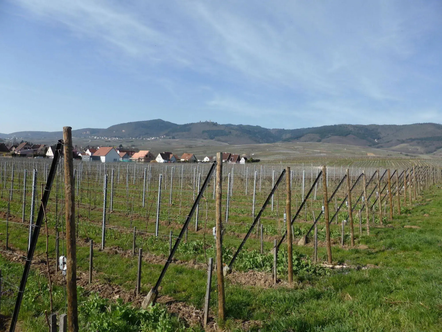 Hostellerie du Château