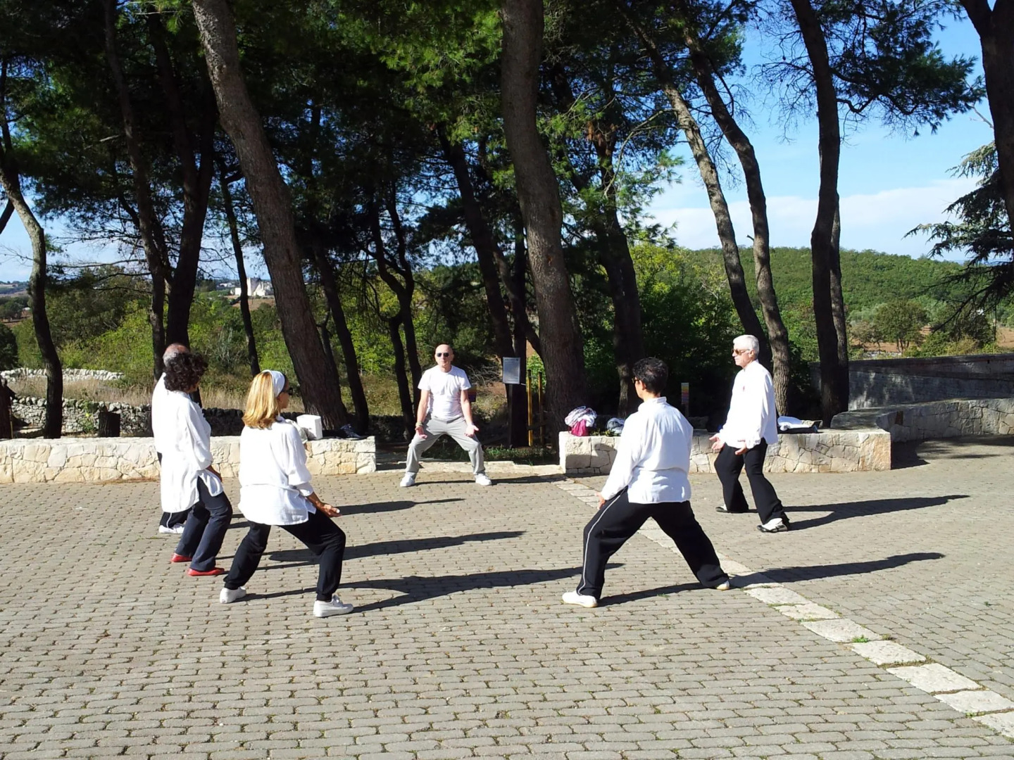 Victor Country Hotel