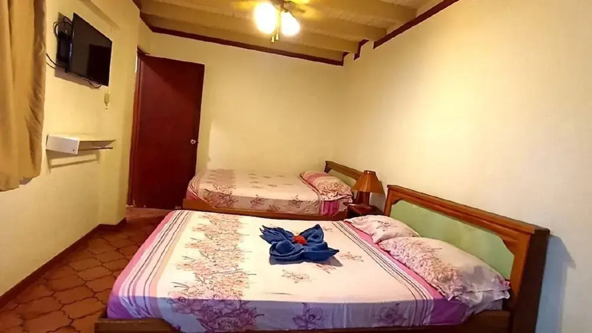 Tropical Gardens Green Turtle