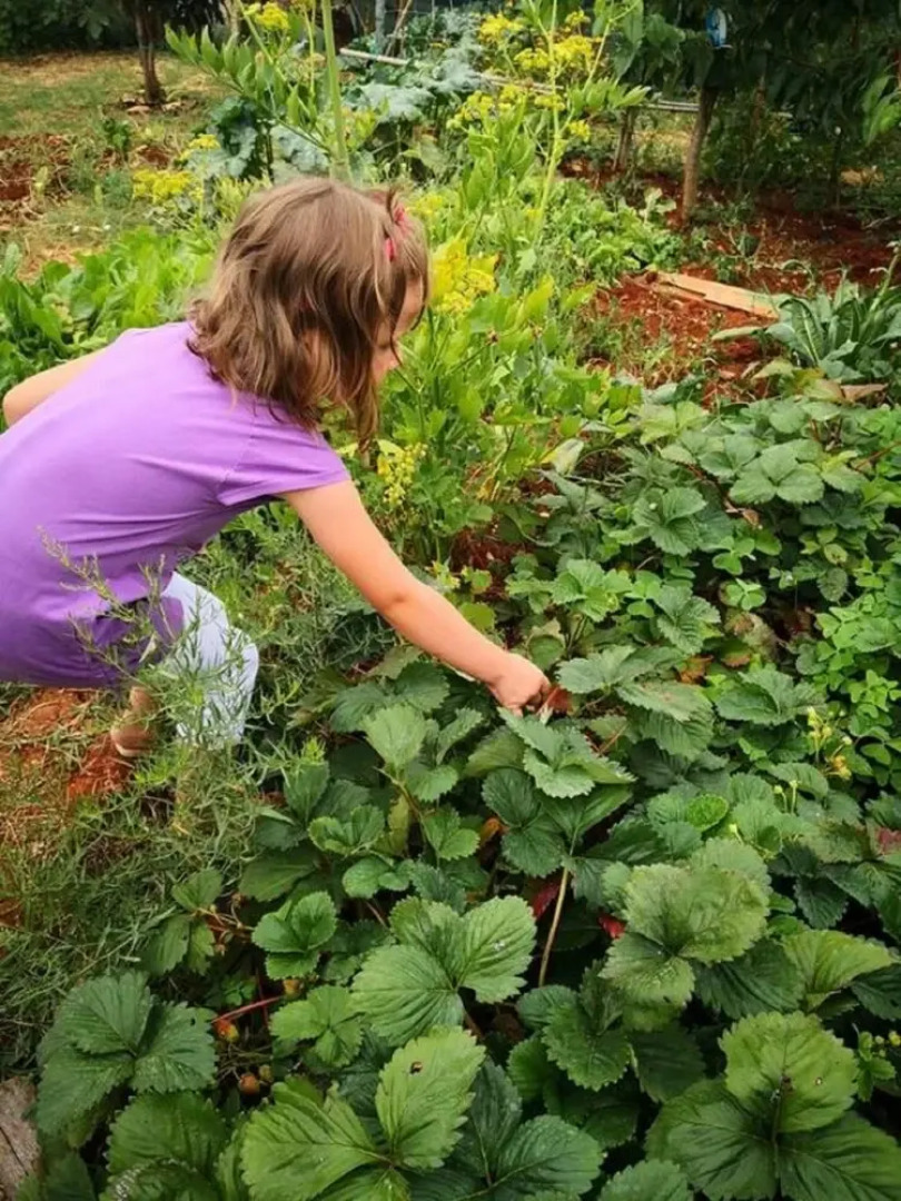 Barbara - Perfect Holiday - H