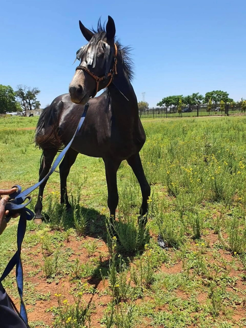 WCCC Convention Centre