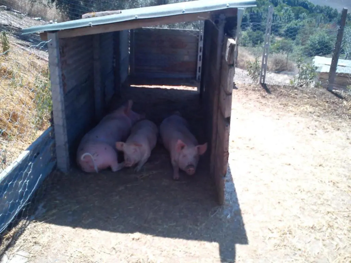 Agriturismo Santa Chiara