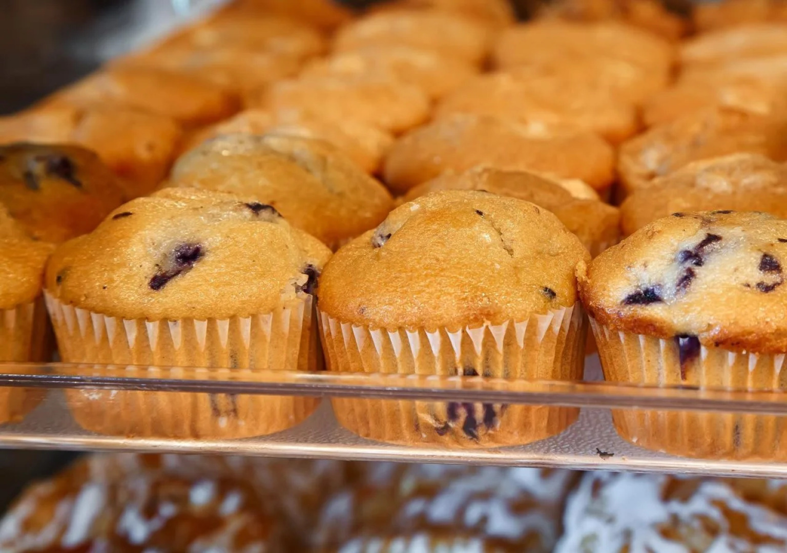 Baymont by Wyndham Westampton