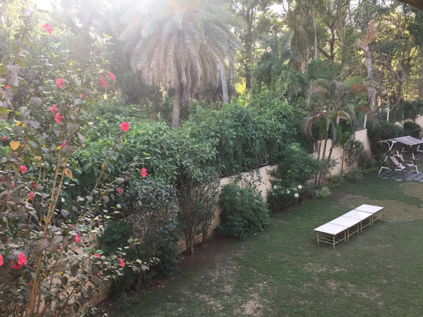 Hotel Sunset Inn Mount Abu with Swimming Pool