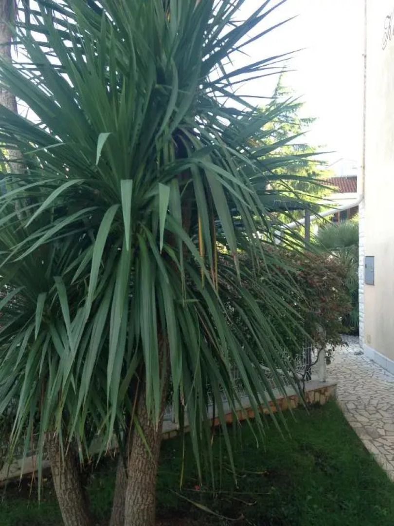 Apartments Villa Kristina