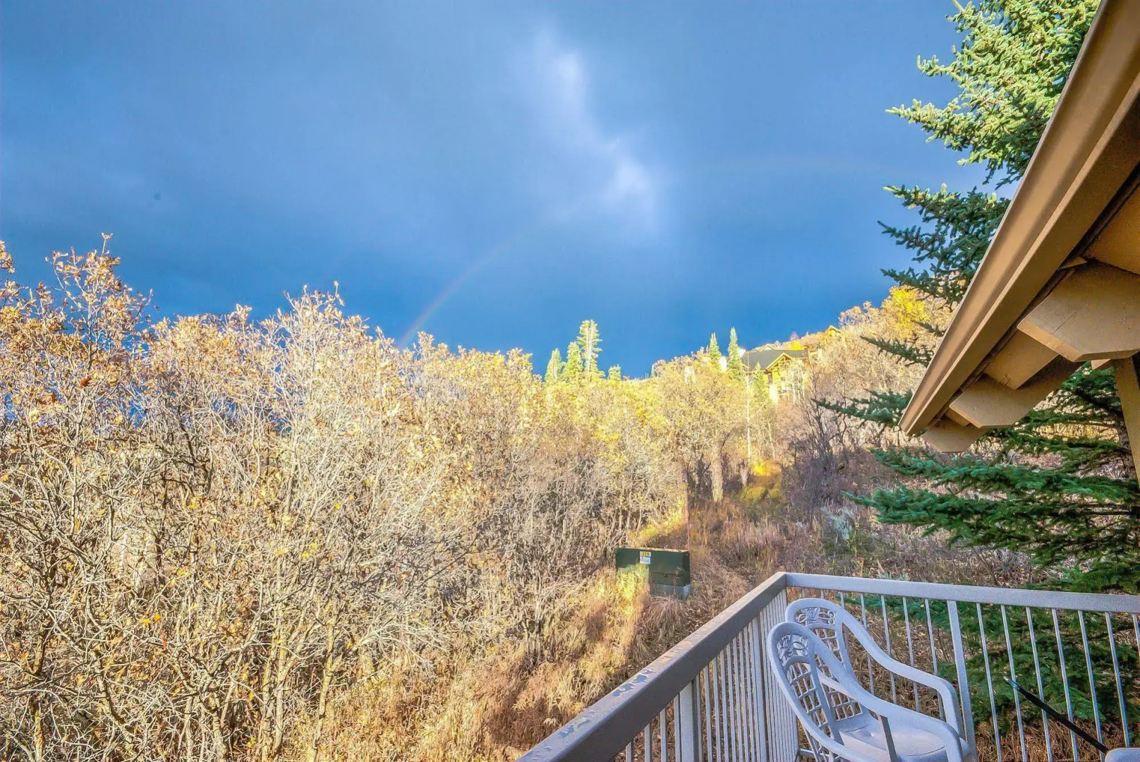 Yampa View