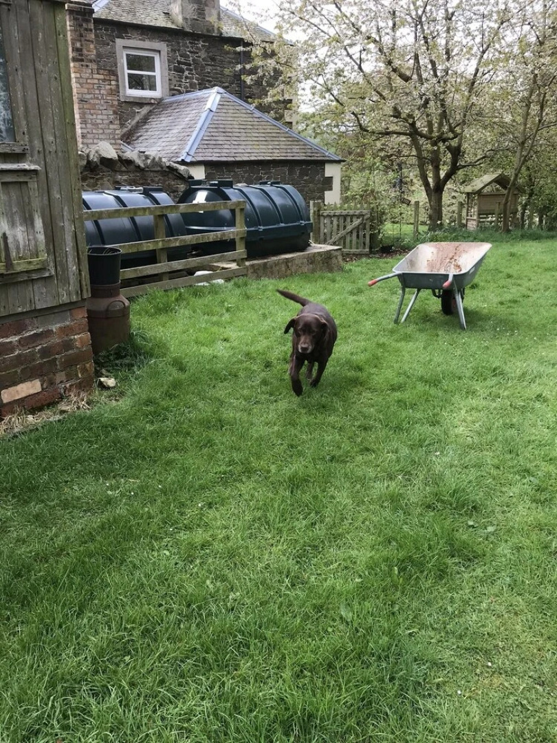 Winkston Courtyard Cottages