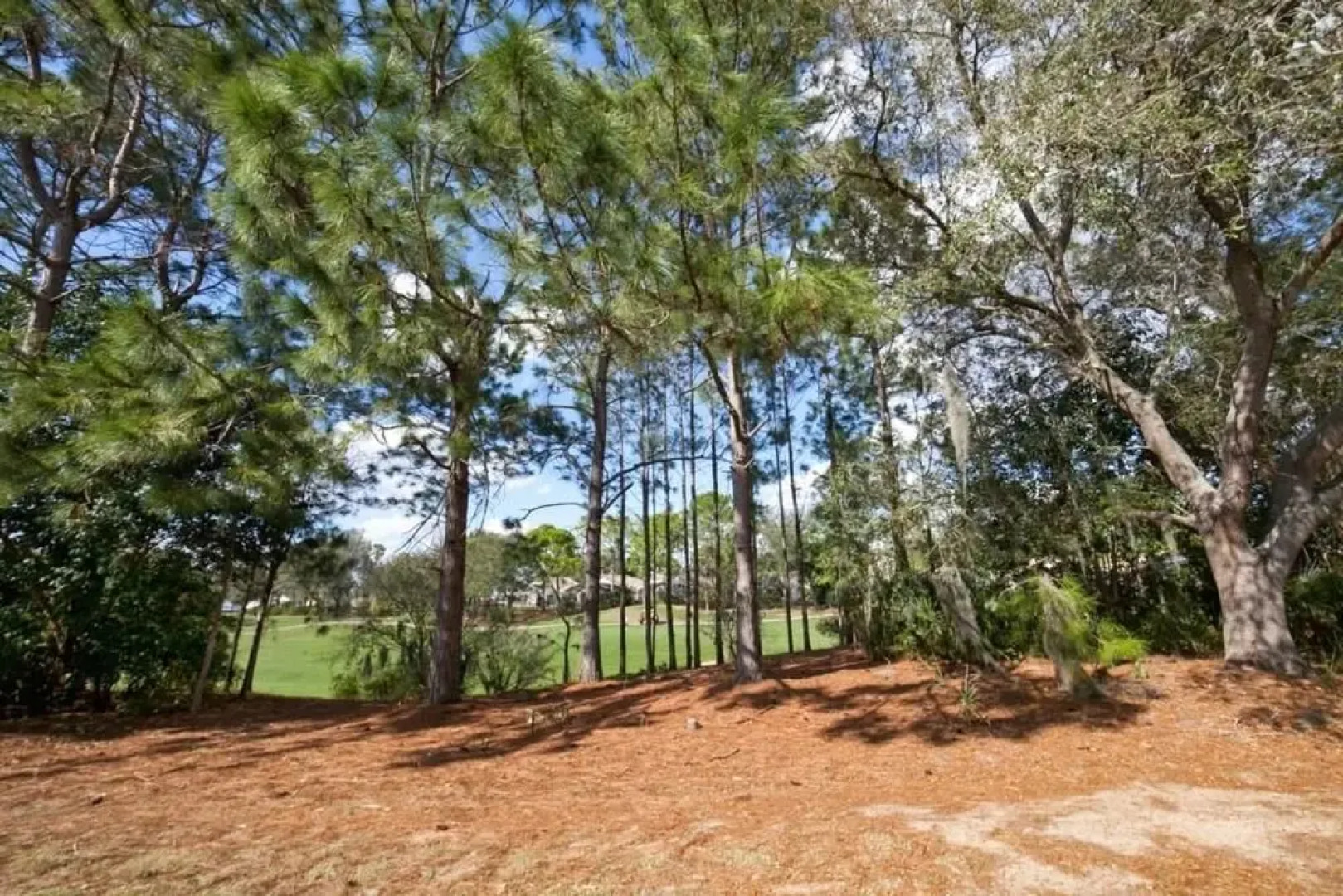 Dawn's Southern Dunes Vacation Home