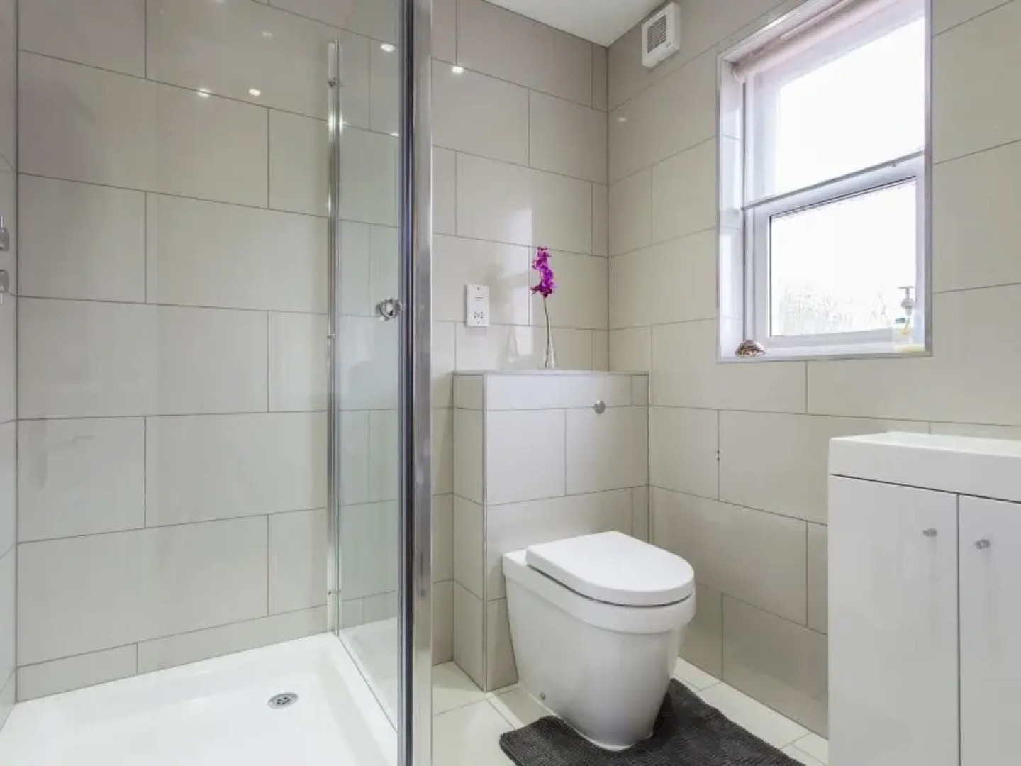 Driftwood Shaldon in Shaldon