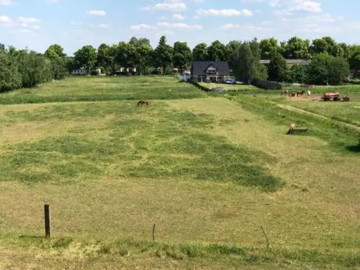 Moderne Wohnung im Grünen