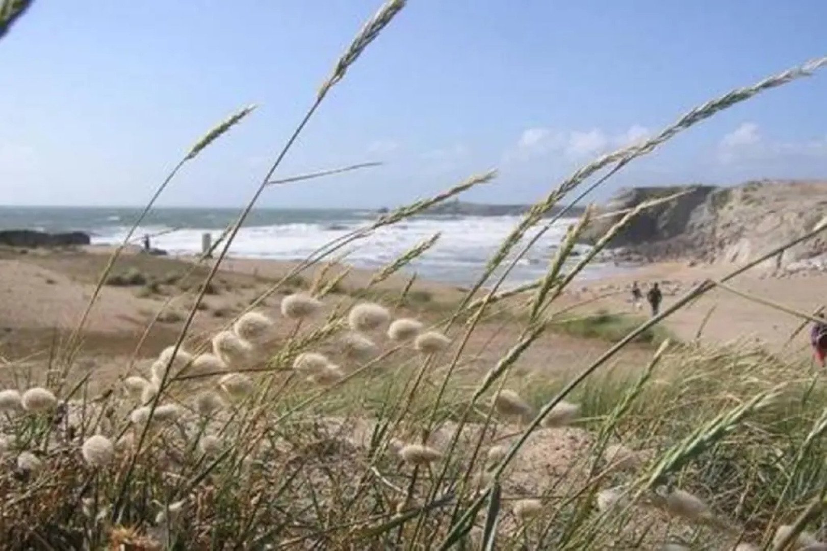 Hôtel du Cheval Blanc