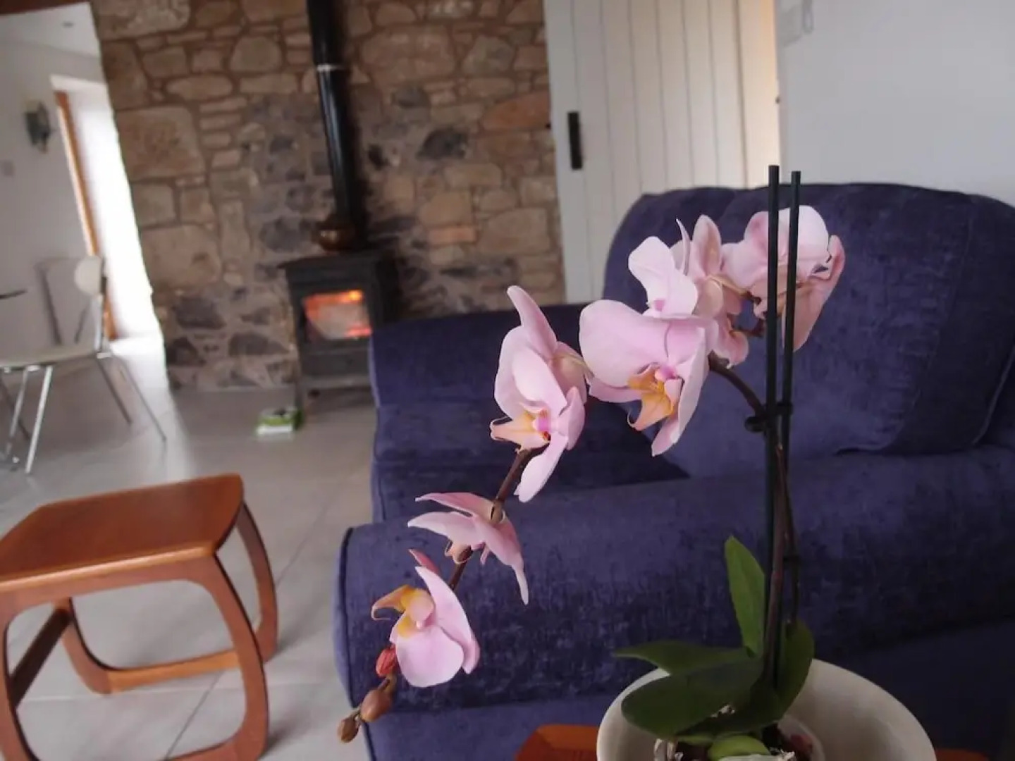 Cockle Kitty Cottage