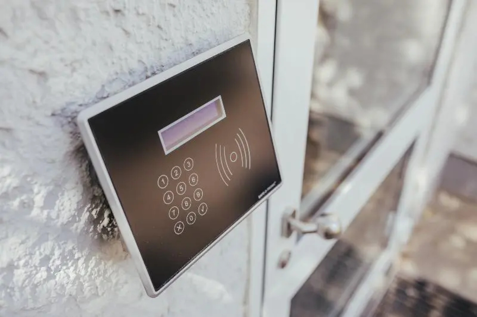 Wandery Hostel Dessau